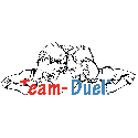 Logo Team Duell